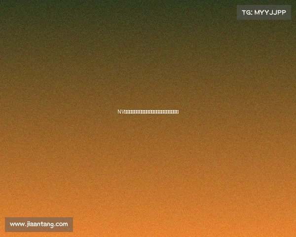 NV电竞战队备战利器大揭秘职业选手同款装备速览览