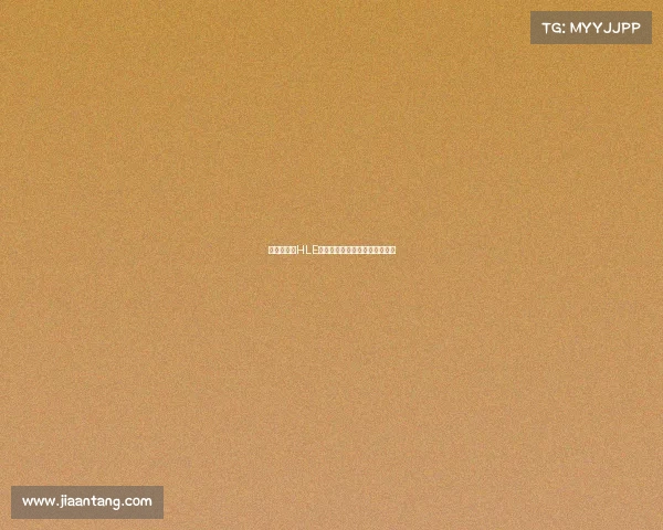 《王者之师HLE电竞俱乐部热血出征再踏征程》